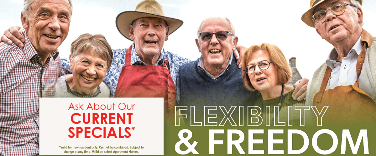 DVATC-IL-0003-DigAd_Freedom-and-Flexibility-GIF-v3-Ask-Incenitve_Janaury-2025_1200-x-500